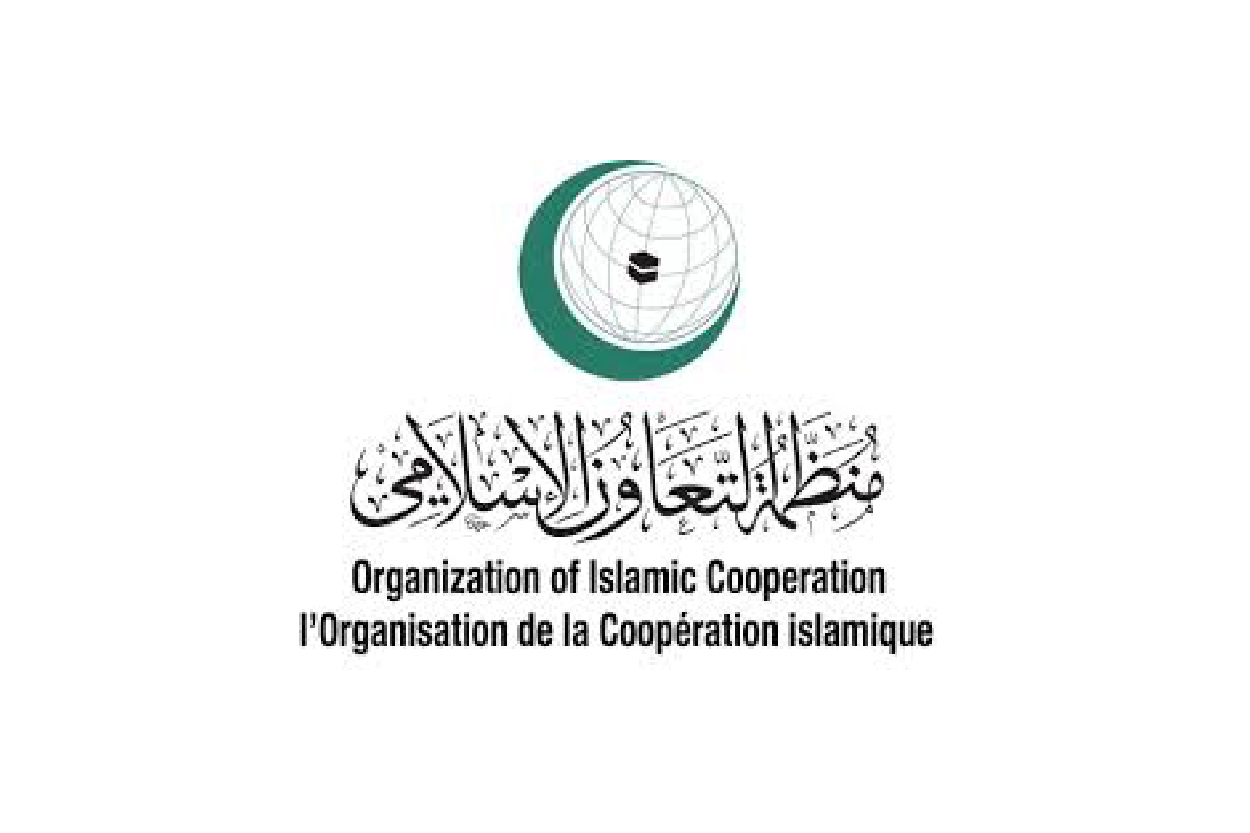 Organizations 24