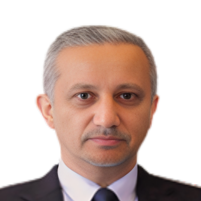 Mr. Shawki A. Hayel Saeed 