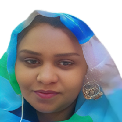 Dr. Alaa  Altayeb Mohieldin